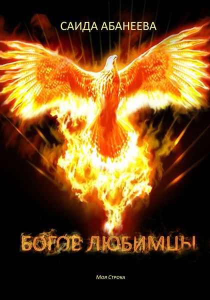 Обложка книги «Богов любимцы»