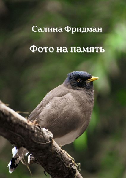 Обложка книги «Фото на память»