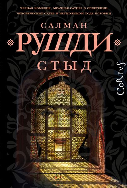 Обложка книги  «Стыд»