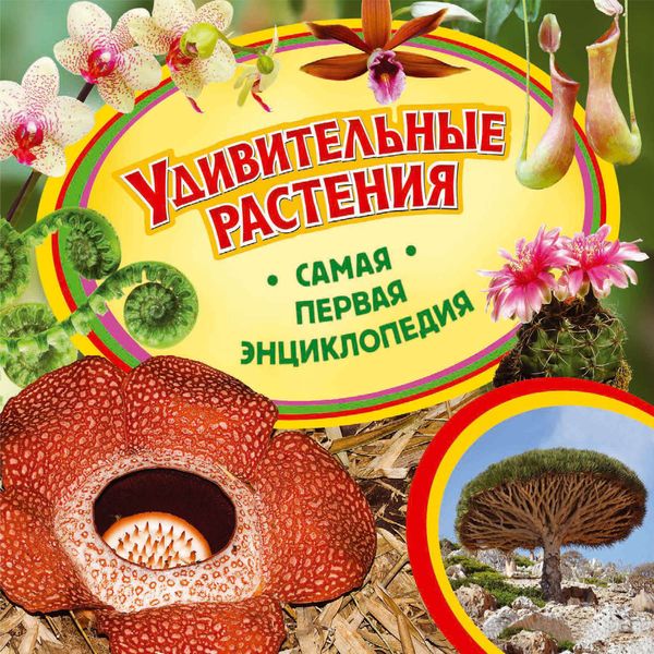 Обложка книги  «Удивительные растения»