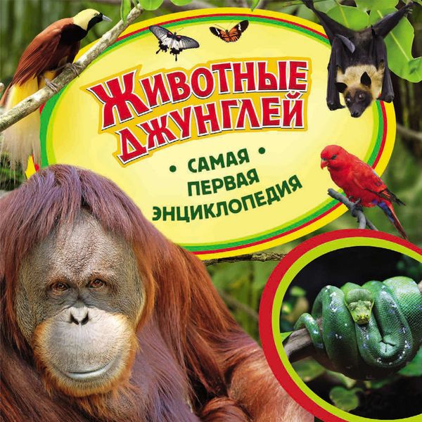 Обложка книги  «Животные джунглей»