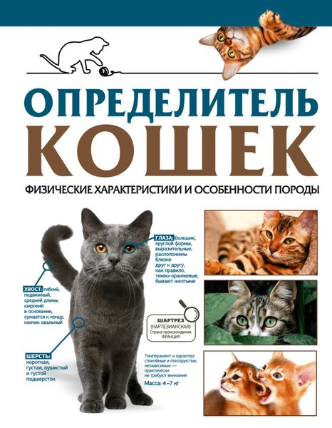 Обложка книги  «Определитель кошек. Физические характеристики и особенности породы»