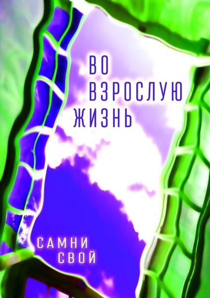 Обложка книги  «Во взрослую жизнь»
