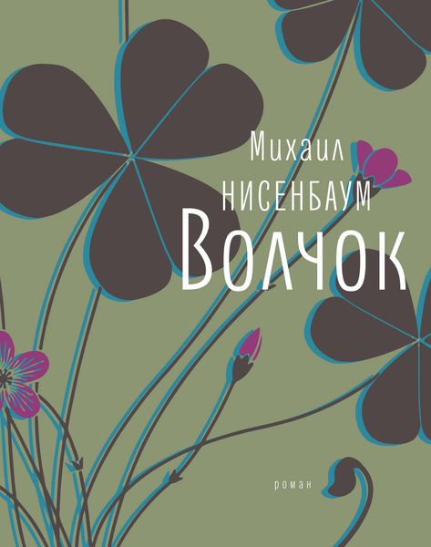 Обложка книги  «Волчок»