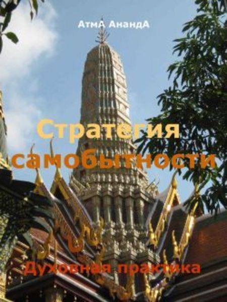 Обложка книги  «Стратегия самобытности: духовная практика»