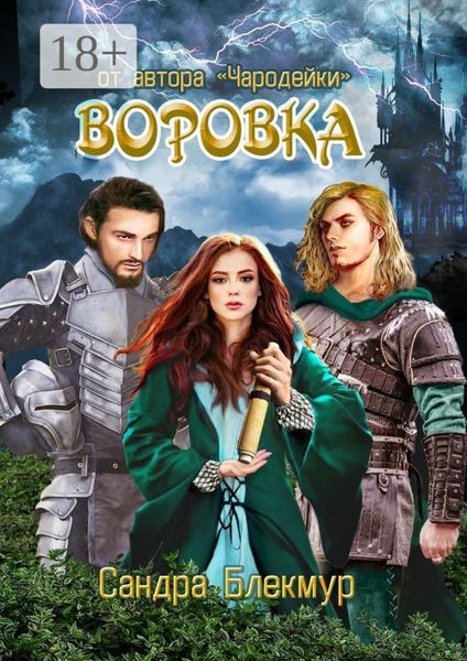 Обложка книги «Воровка»