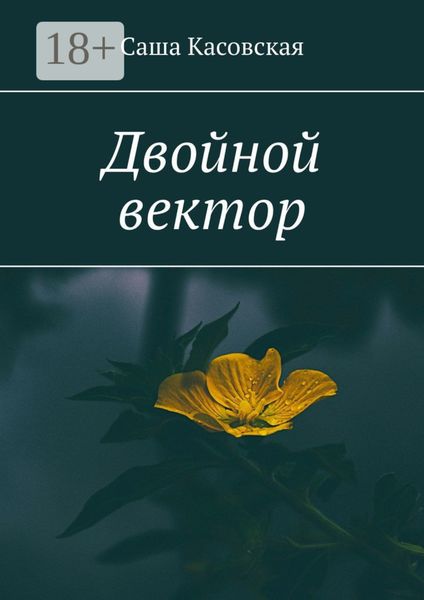 Обложка книги «Двойной вектор»