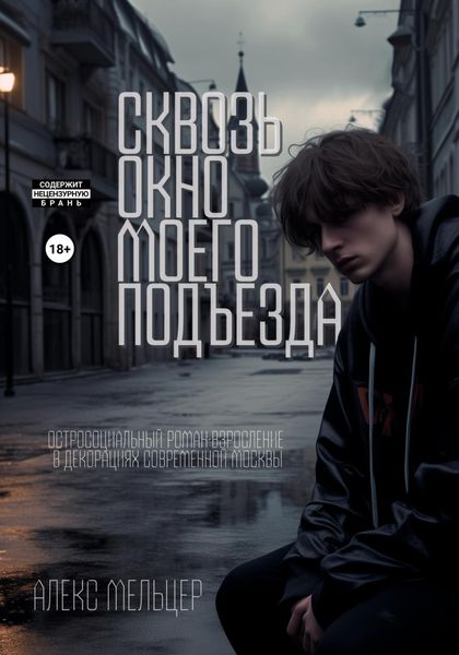 Обложка книги «Сквозь окно моего подъезда»