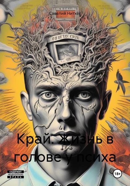 Обложка книги  «Край. Жизнь в голове у психа»