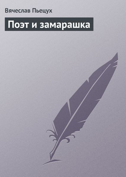 Обложка книги  «Поэт и замарашка»