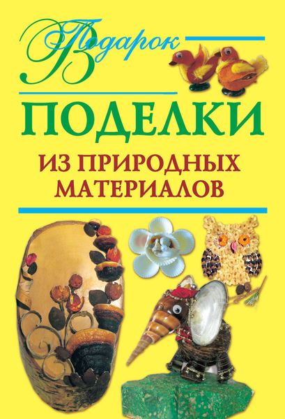 Обложка книги  «Поделки из природных материалов»