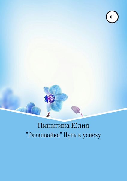 Обложка книги ««Развивайка» Путь к успеху»