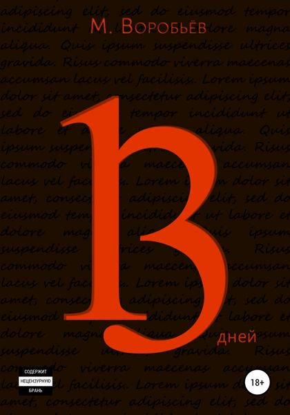 Обложка книги  «13 дней»