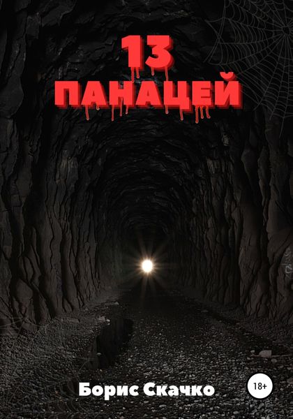 Обложка книги  «13 панацей»