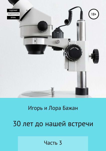 Обложка книги  «30 лет до нашей встречи. Часть 3»