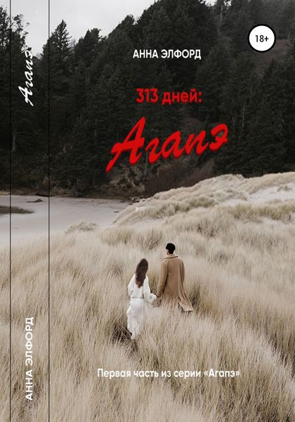 Обложка книги  «313 дней: Агапэ»