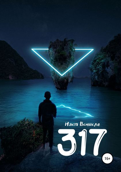 Обложка книги  «317»
