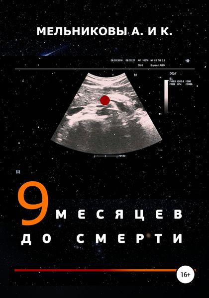 Обложка книги  «9 месяцев до смерти»