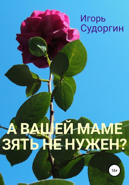 Обложка книги  «А вашей маме зять не нужен?»