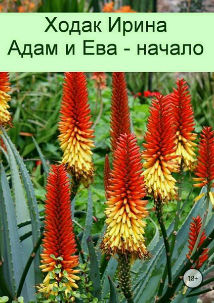 Обложка книги  «Адам и Ева – начало»