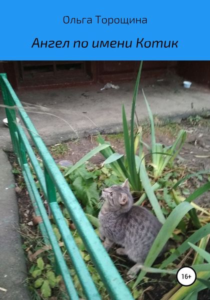 Обложка книги  «Ангел по имени Котик»