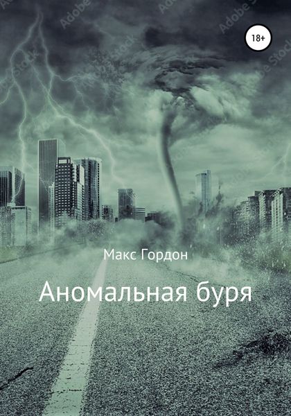 Обложка книги  «Аномальная буря»