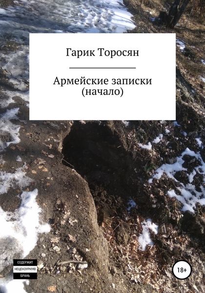 Обложка книги  «Армейские записки. Начало»
