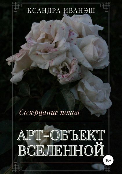 Обложка книги  «Арт-объект Вселенной»
