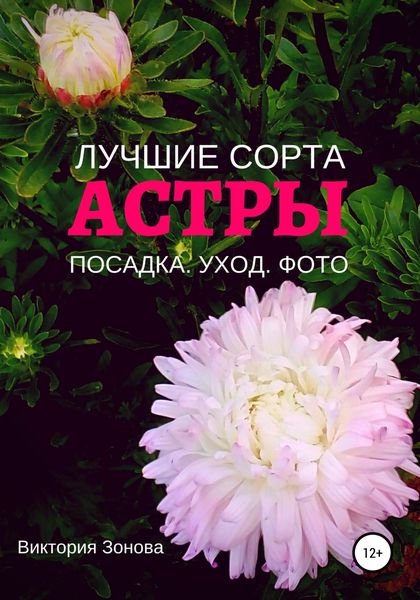 Обложка книги  «Астры. Лучшие сорта»