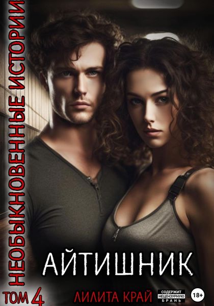 Обложка книги  «Айтишник»