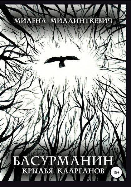 Обложка книги  «Басурманин. Крылья каарганов»