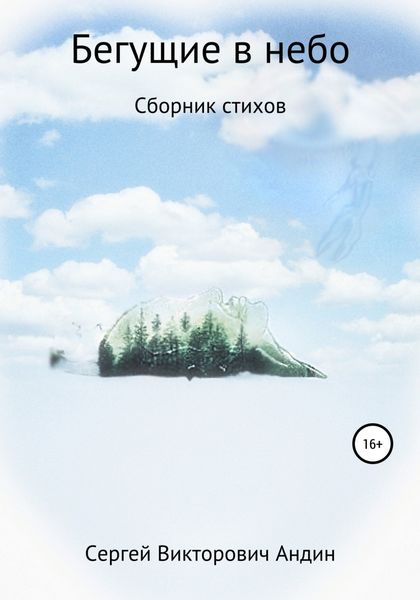Обложка книги  «Бегущие в небо»
