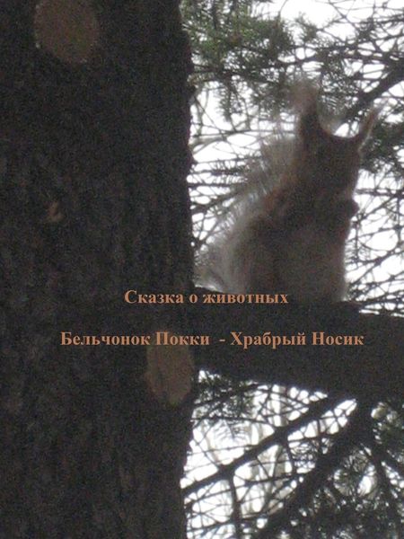 Обложка книги  «Бельчонок Покки. Храбрый носик»