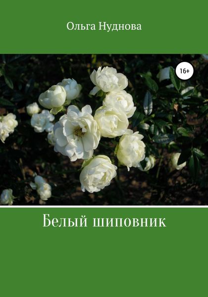 Обложка книги  «Белый шиповник»