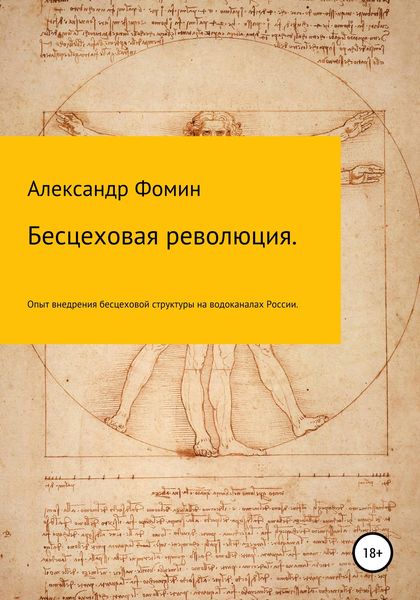 Обложка книги  «Бесцеховая революция. Опыт внедрения бесцеховой структуры управления на водоканалах России.»