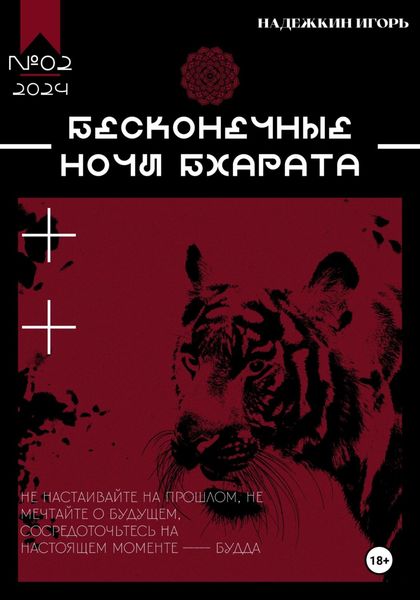 Обложка книги  «Бесконечные ночи Бхарата»