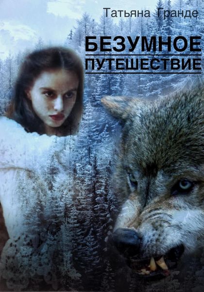 Обложка книги  «Безумное путешествие»