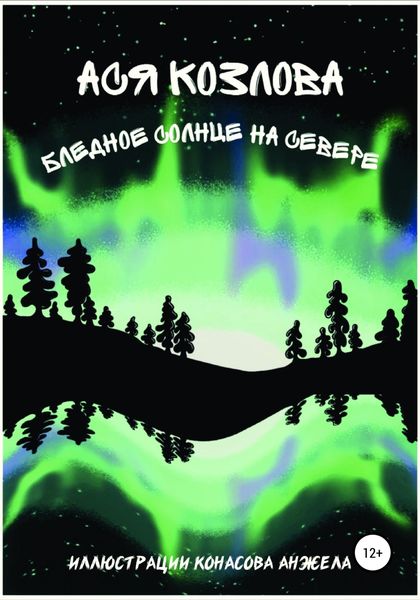 Обложка книги  «Бледное солнце на севере»
