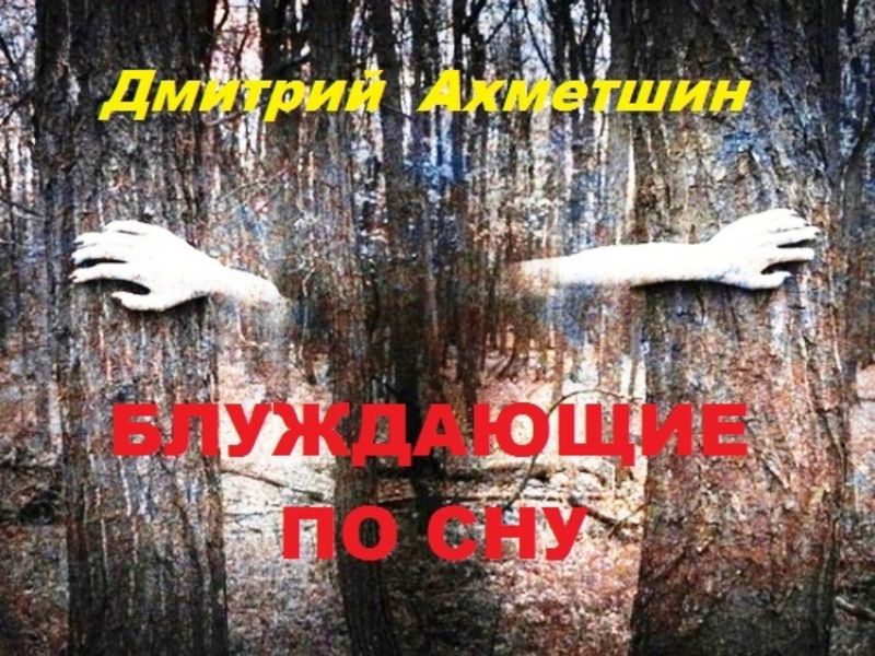 Обложка книги  «Блуждающие по сну»