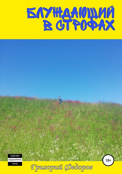 Обложка книги  «Блуждающий в строфах»