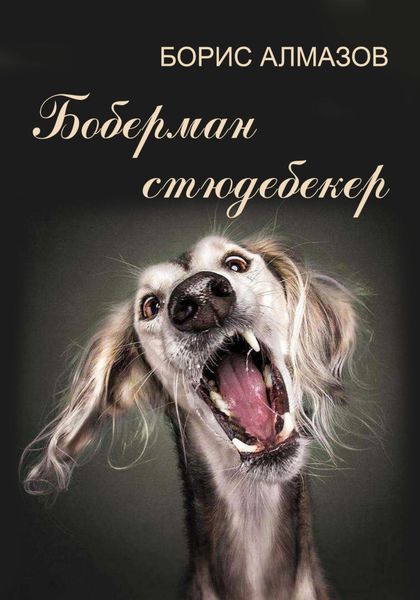 Обложка книги  «Боберман-стюдебекер»