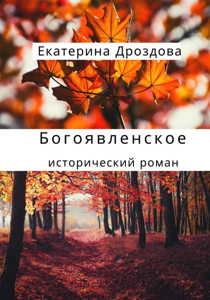 Обложка книги  «Богоявленское»
