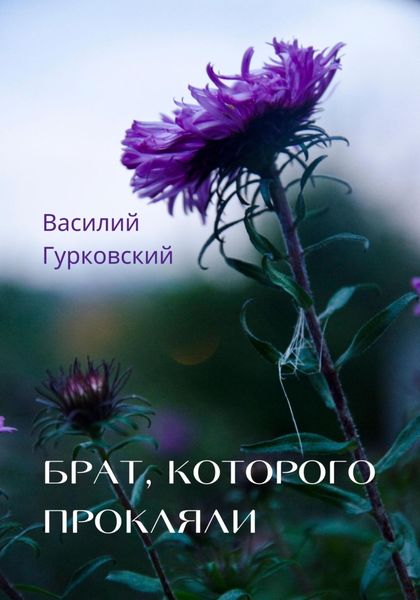 Обложка книги  «Брат, которого прокляли»