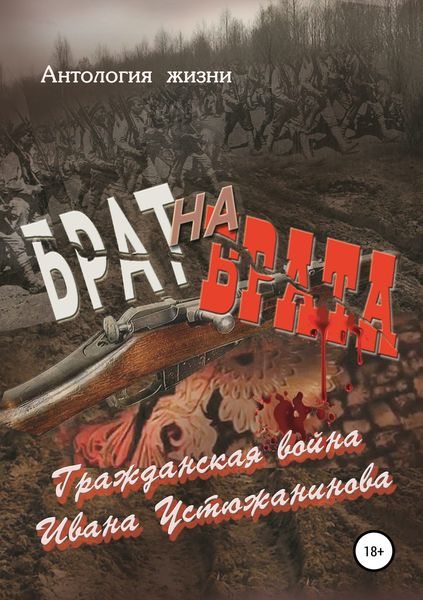 Обложка книги  «Брат на брата»