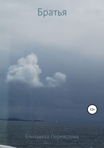 Обложка книги  «Братья»
