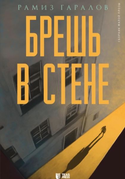 Обложка книги «Брешь в стене»