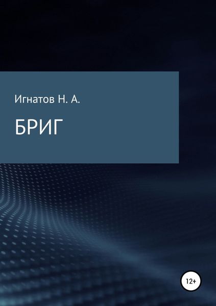 Обложка книги  «БРИГ»