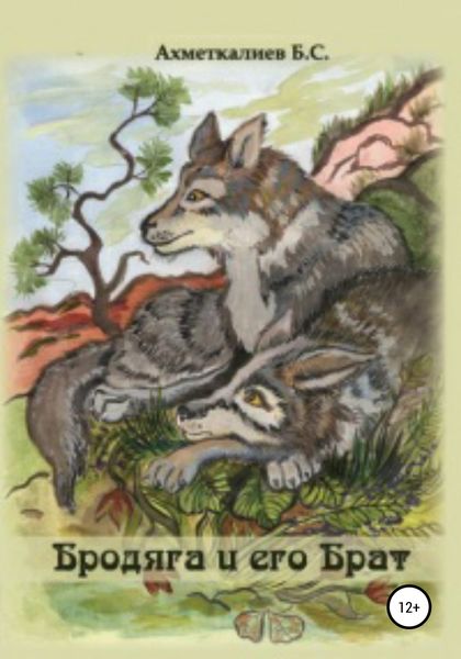 Обложка книги  «Бродяга и его брат»