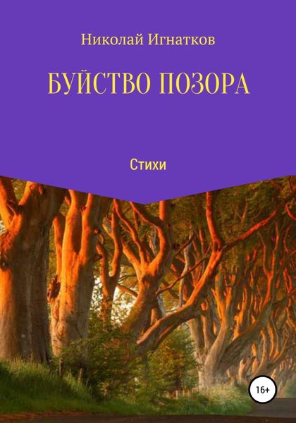 Обложка книги  «Буйство позора»