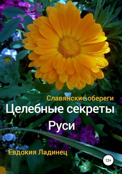 Обложка книги  «Целебные секреты Руси. Славянские обереги»